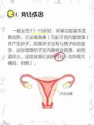 美柚如何发说说