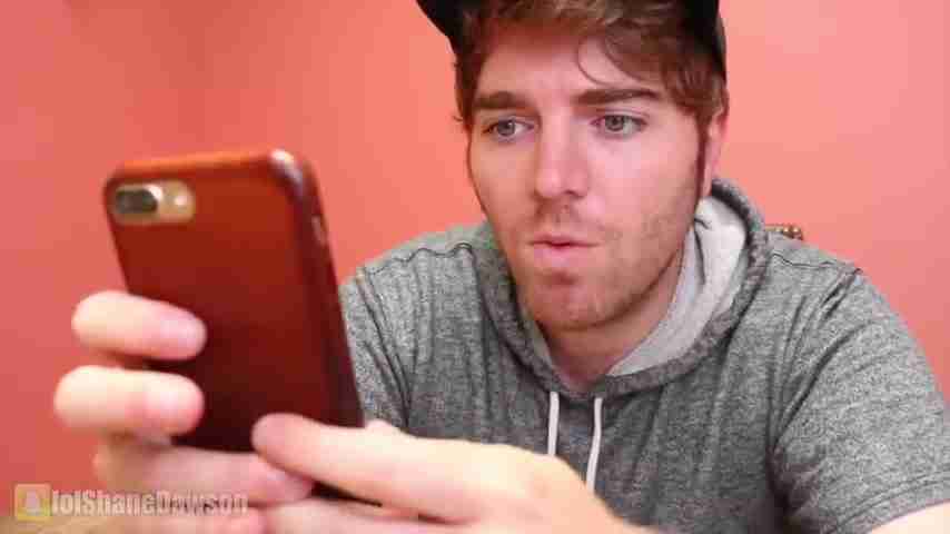 如何与宠物沟通：动物交流工具与技巧终极指南