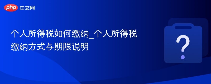 个人所得税如何缴纳_个人所得税缴纳方式与期限说明