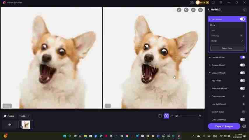 HitPaw Photo AI: 轻松升级模糊照片，打造创意设计