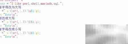 Perl大小写转换入门