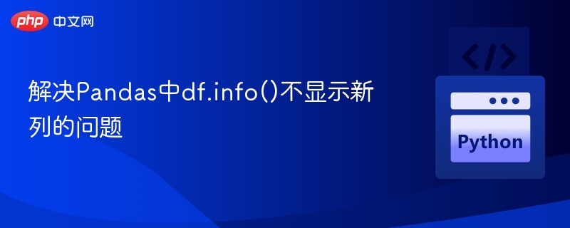 解决Pandas中df.info()不显示新列的问题
