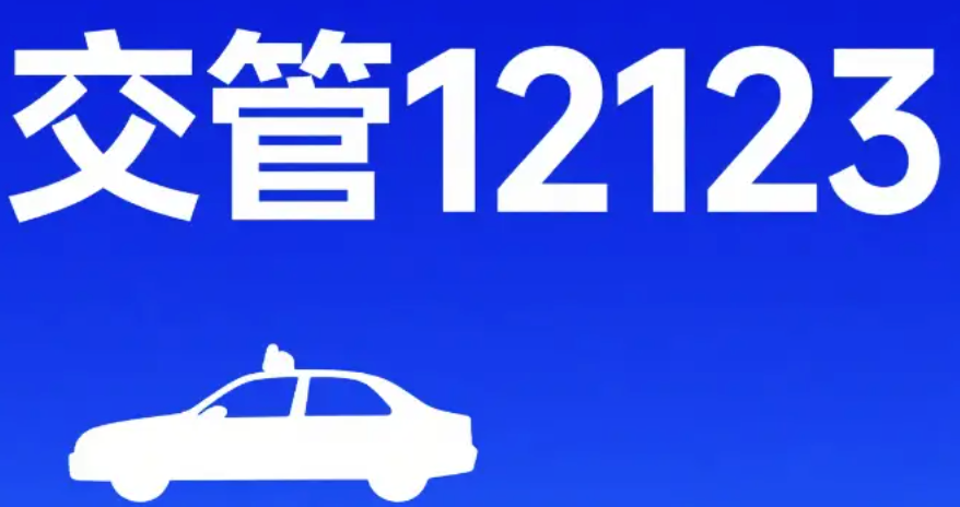 交管12123怎么查网办进度_查询业务办理状态与结果