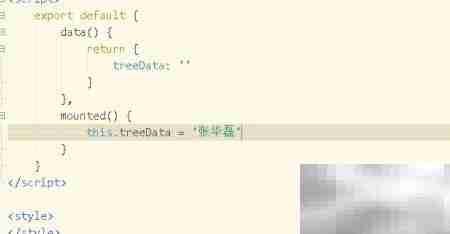Vue data中变量使用方法