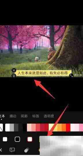 短视频动态字幕添加技巧