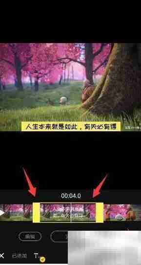 短视频动态字幕添加技巧