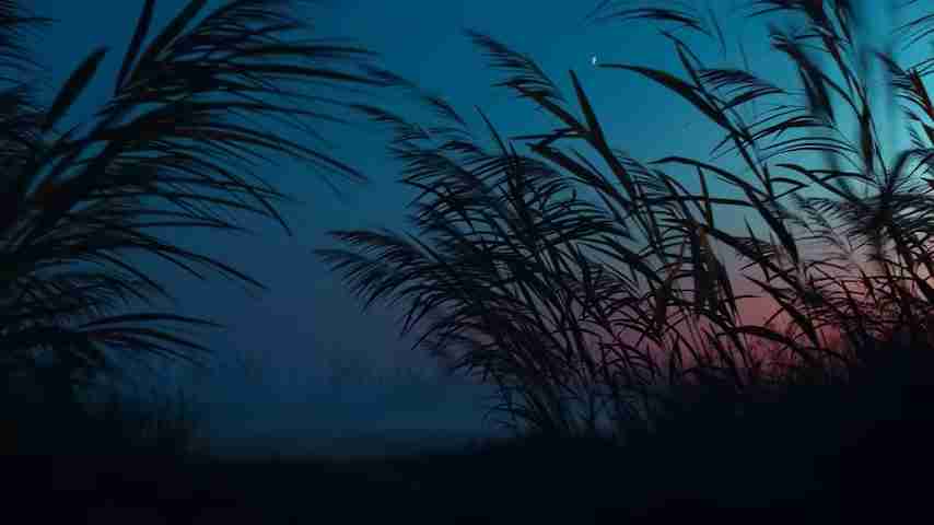 史诗般的AI圣经故事：摩西的诞生与使命