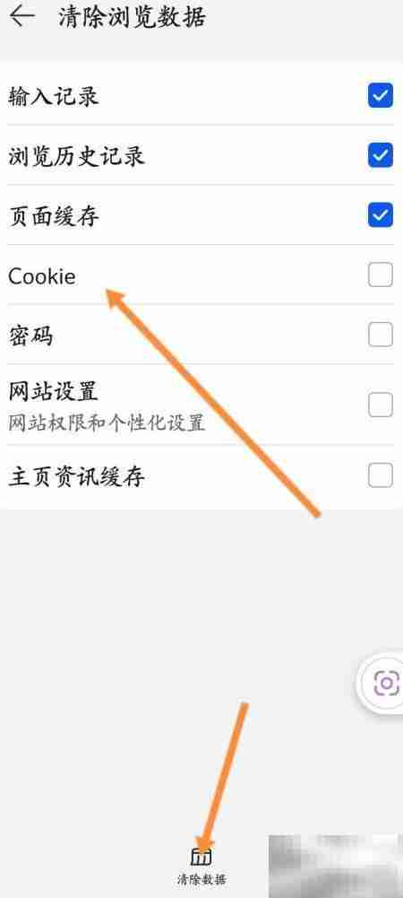 清除浏览器缓存和Cookies