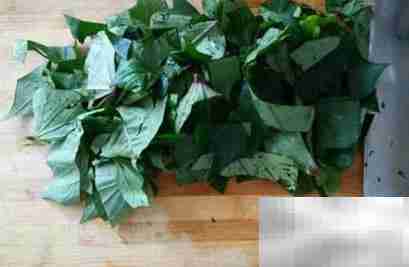 红薯叶蒸菜做法大全