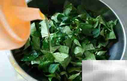 红薯叶蒸菜做法大全