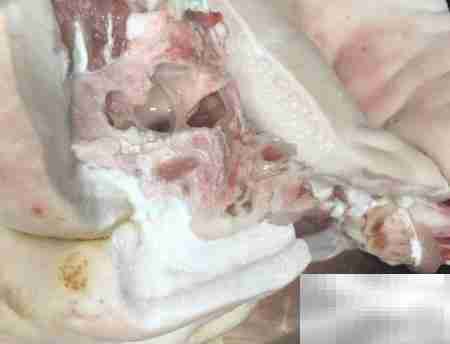 猪头糕美味做法大揭秘