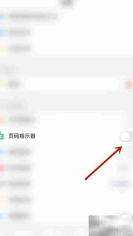 PDF Pro页码指示器开启方法
