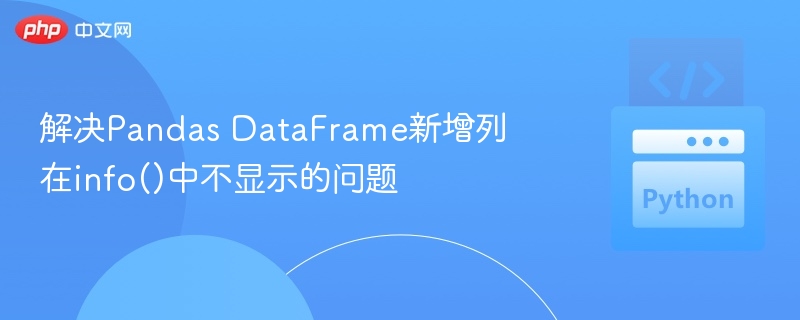 解决Pandas DataFrame新增列在info()中不显示的问题