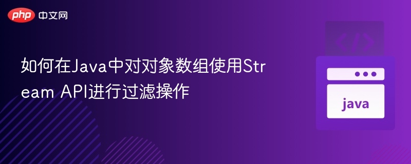 如何在Java中对对象数组使用Stream API进行过滤操作