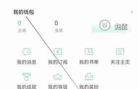 长佩阅读如何查看我的钱包