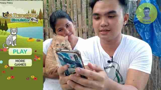 趣味猫语翻译器评测：真能听懂猫咪心声？