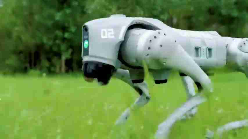 2025年亚马逊AI宠物机器人选购终极指南：17款最佳推荐