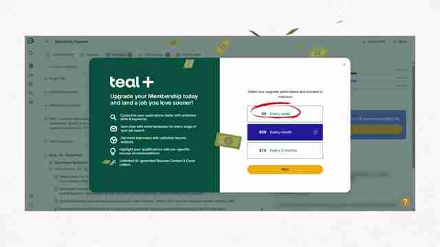 使用Teal HQ AI简历生成器，轻松打造完美简历