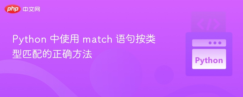 Python 中使用 match 语句按类型匹配的正确方法