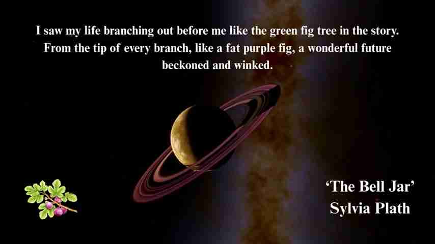 星象解读：希尔维亚·普拉斯的自杀悲剧及星盘分析