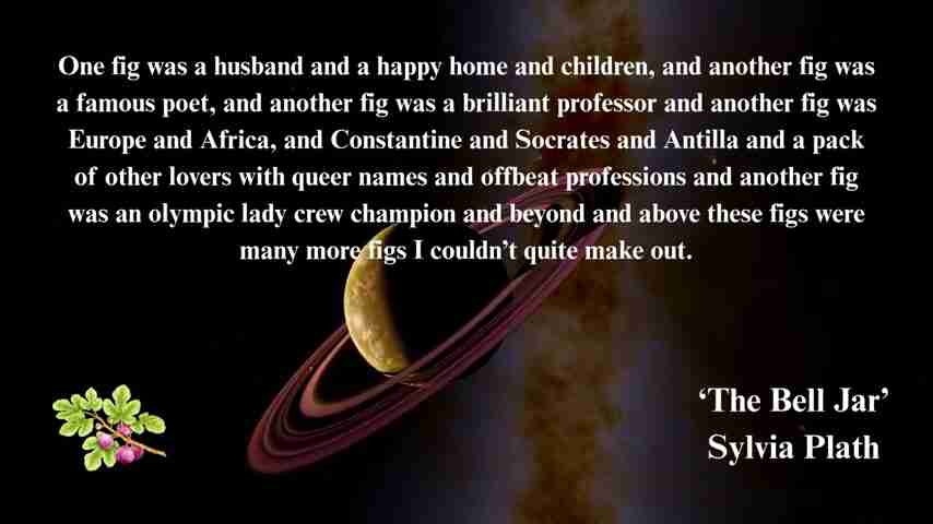 星象解读：希尔维亚·普拉斯的自杀悲剧及星盘分析