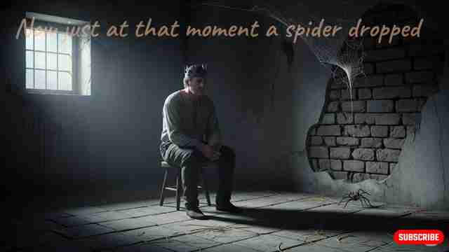 永不放弃：国王与蜘蛛的故事，从失败中汲取力量