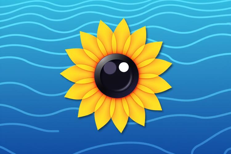 向日葵客户端怎么进行远程iOS控制_向日葵客户端远程iOS控制操作教程