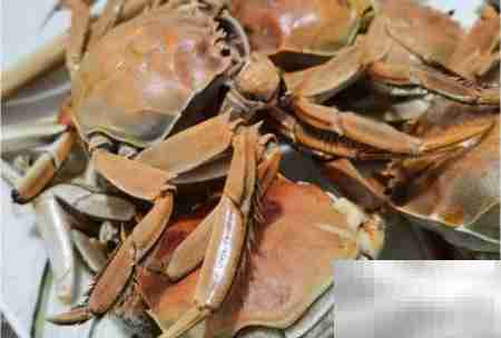 河蟹煮几分钟最佳？