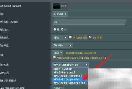 华硕路由器RADIUS设置指南