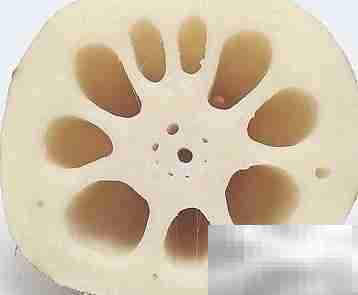 莲藕家常菜,健康又美味