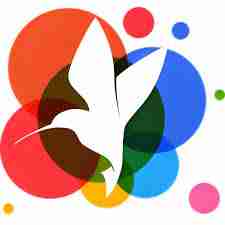 小鸟壁纸如何设置桌面组件