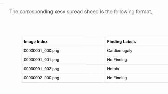 AI在X光图像处理中的应用:医学影像新纪元
