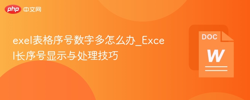 exel表格序号数字多怎么办_Excel长序号显示与处理技巧
