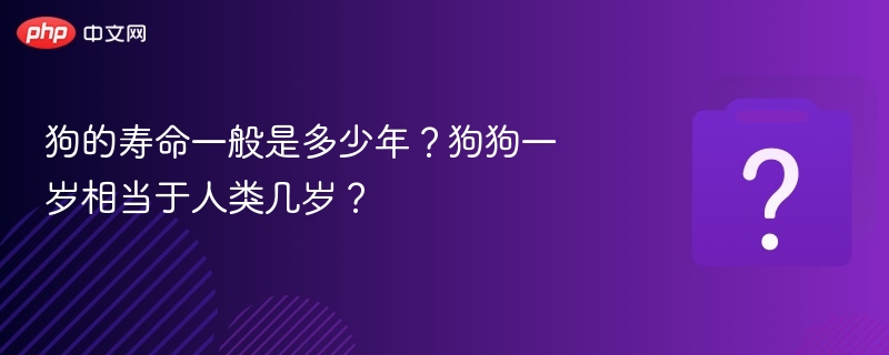 狗的寿命一般是多少年？狗狗一岁相当于人类几岁？