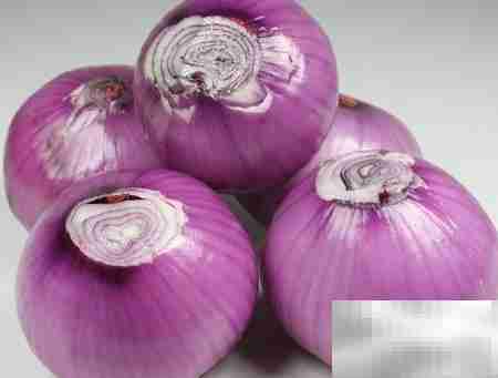 轻松灭蟑,一招搞定