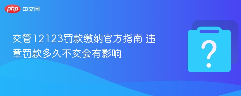 交管12123罚款缴纳官方指南 违章罚款多久不交会有影响