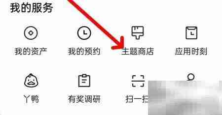 软件商店查看主题商店指南