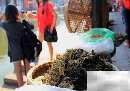 西塘古镇游玩全攻略