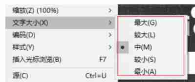 ie11怎么改变字号-ie11改变字号的方法