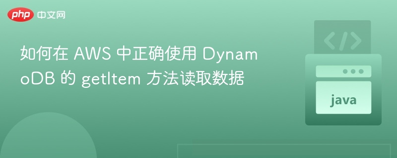 如何在 AWS 中正确使用 DynamoDB 的 getItem 方法读取数据
