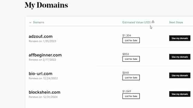 域名抢注与域名投资:新手指南,教你在线赚钱