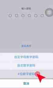 苹果iPhone15系列机型能否使用4位数字锁屏密码