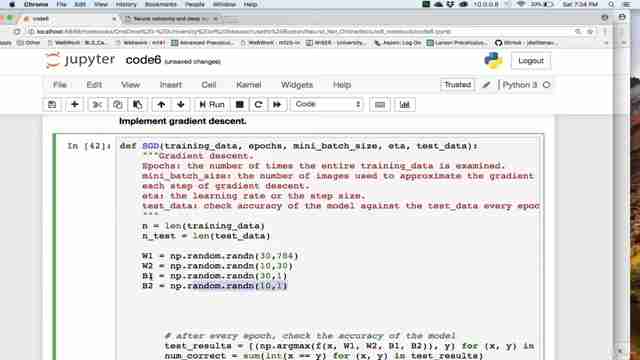使用Python和神经网络进行图像识别:完整指南