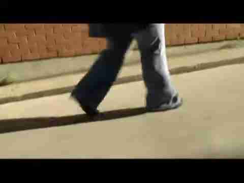 探索人猫交流新方式：猫语翻译App评测与应用