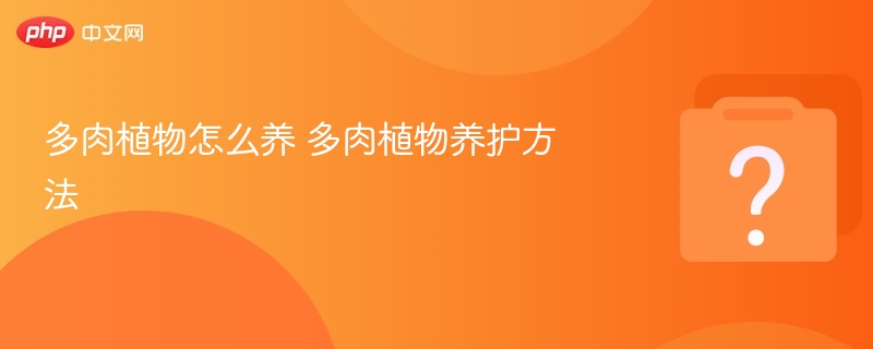 多肉植物怎么养 多肉植物养护方法