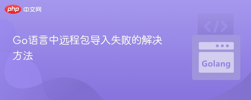 Go语言中远程包导入失败的解决方法
