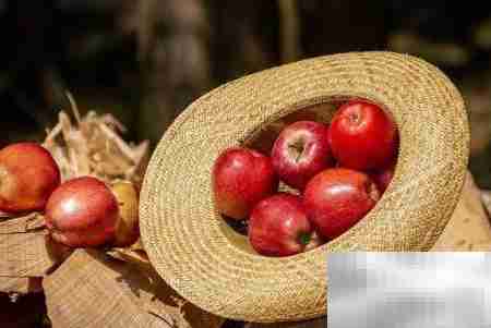 水果店利润揭秘：一文看懂