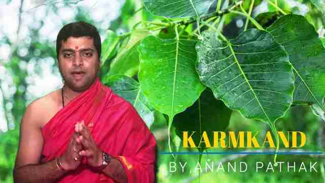 探索菩提树的象征意义、养护方法及其在信仰中的地位