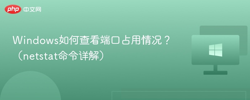 Windows如何查看端口占用情况？（netstat命令详解）