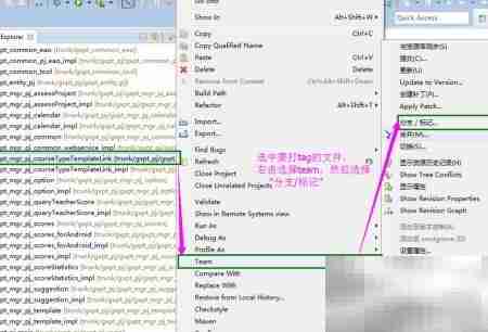 SVN标签打包实战指南